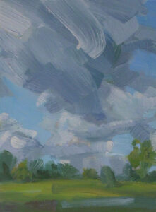 Wiesenlandschaft mit großer Wolke